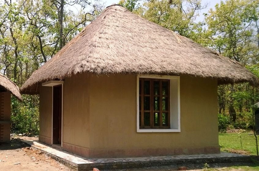 Eco-friendly wooden chalets nestled in lush forest vegetation