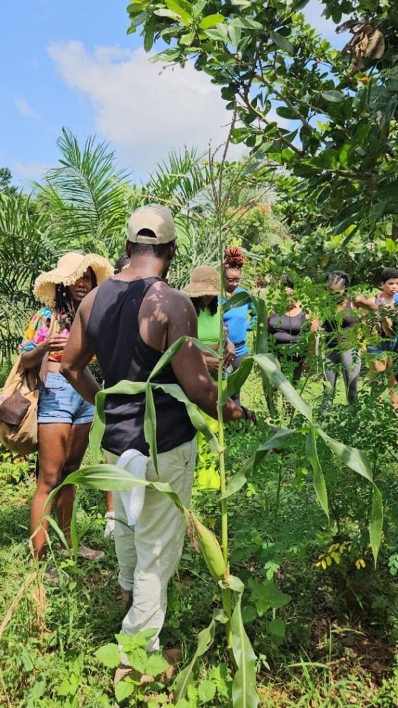 featured image for the "Ghana Wellness Retreat" retreat